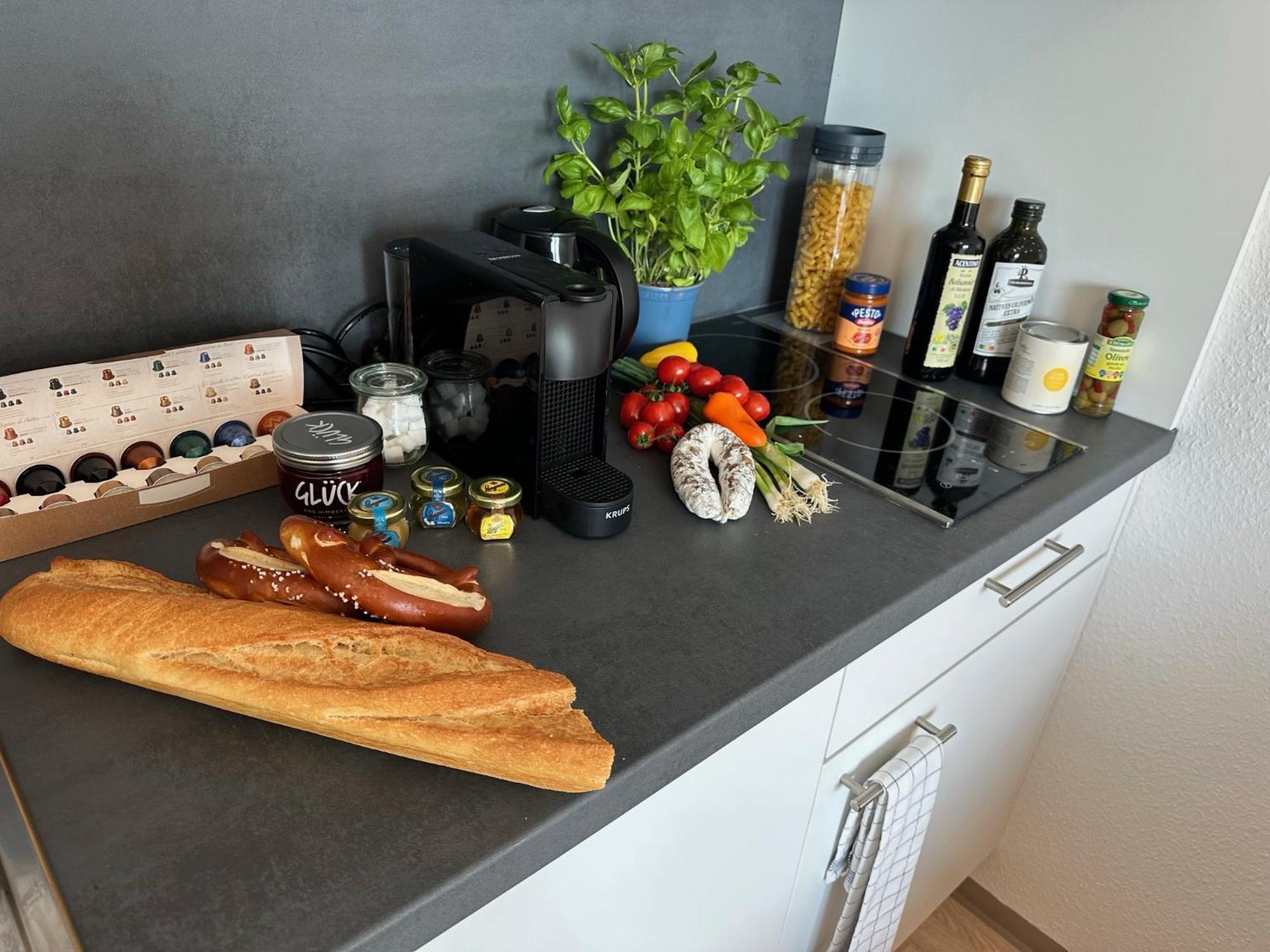 Stilvolles Und Modernes Appartement Mit Sonnigem Balkon In Flughafen- Und Messenaehe 31 Leinfelden-Echterdingen Buitenkant foto